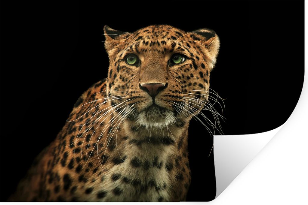 MuchoWow - Wierderverwendbar - Selbstklebend