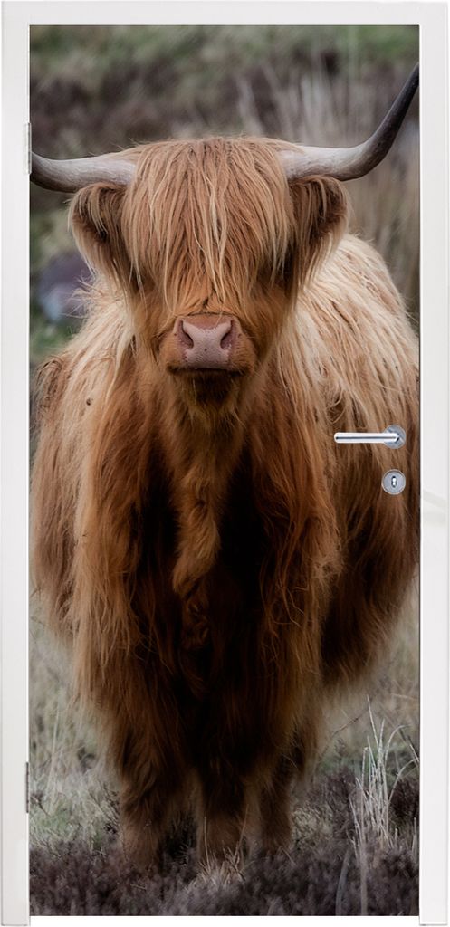 MuchoWow Türtapete Selbstklebende Türfolie Schottischer Hochländer - Moos - Gras 90x235 cm Türposter Türaufkleber Klebefolie Türklebefolie ...