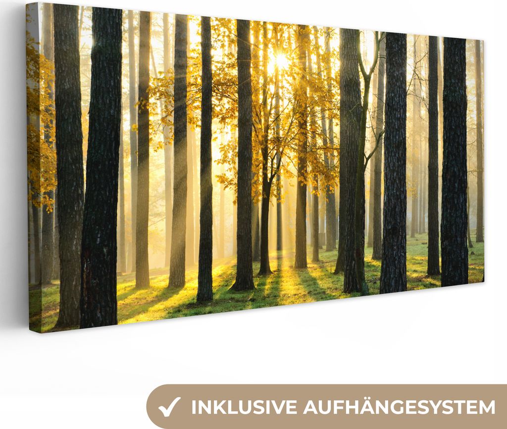 MuchoWow - Leinwandbilder - Wald - Sonne - Bäume - Gras - Landschaft - Natur, Wandbild, Wanddeko Bilder Wohnzimmer, 80x40 cm
