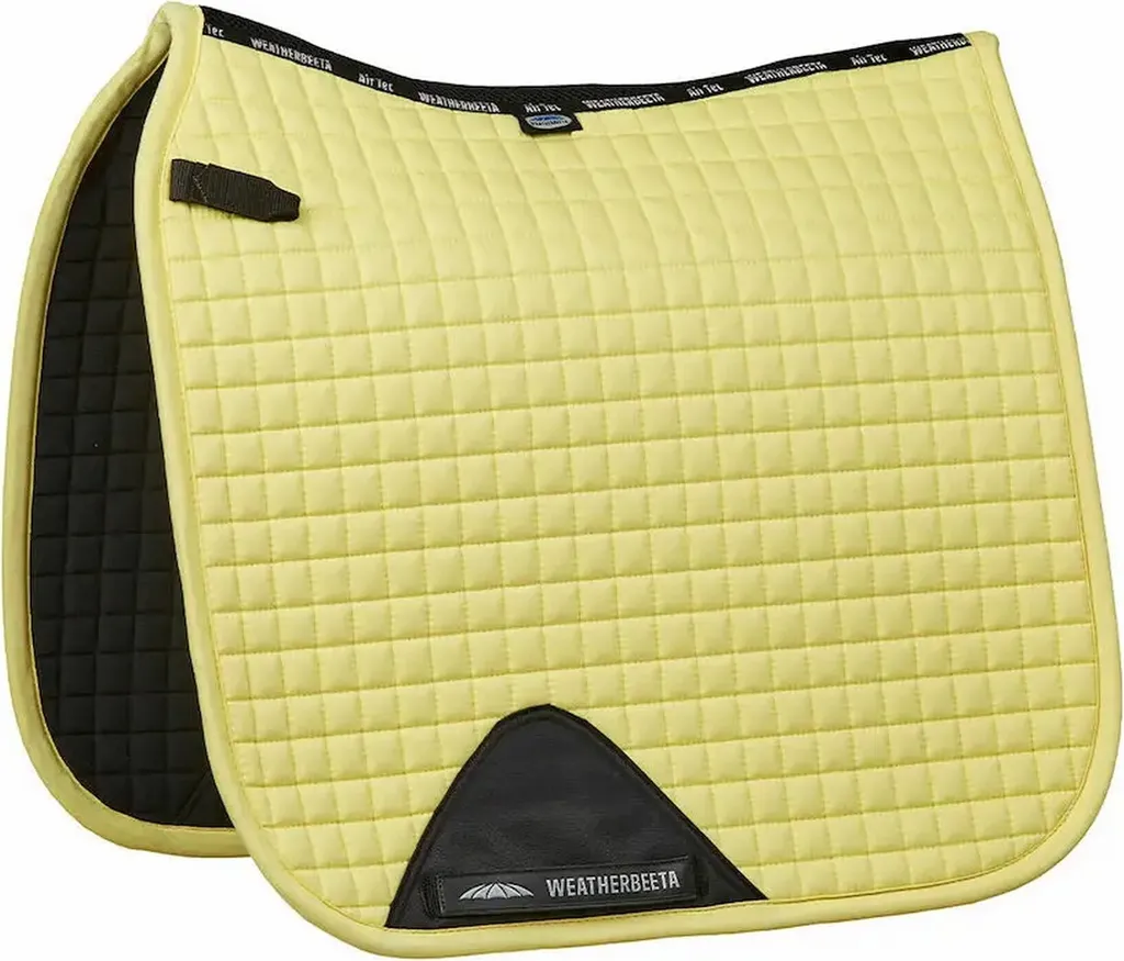 Chabraque dressage poney Weatherbeeta WB276 idéal entraînement beurre