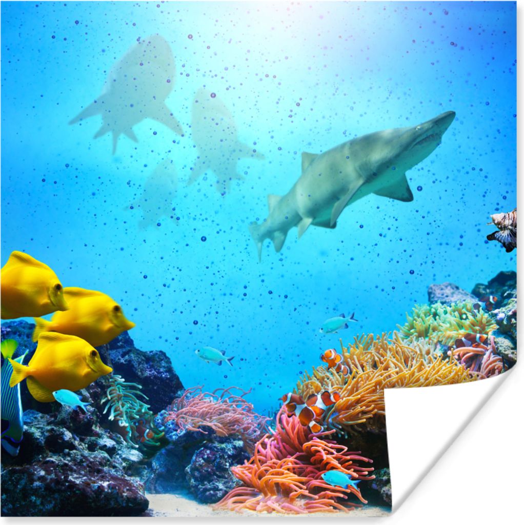 MuchoWow Poster Meer - Fische - Farben 30x30 cm - Wandposter - Printing