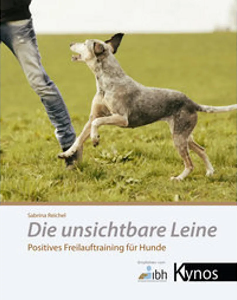 Laisse pour chien invisible idéale pour les promenades en liberté en ville