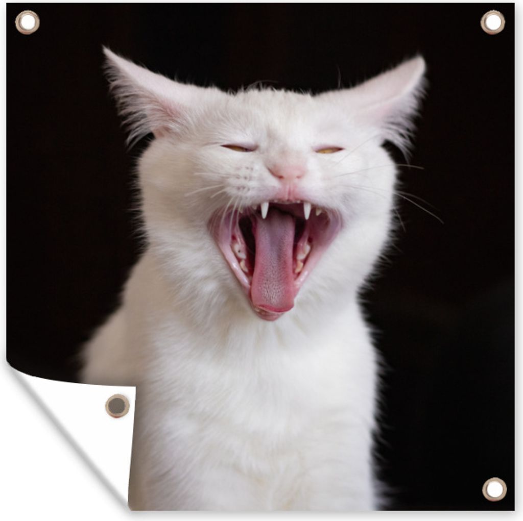 MuchoWow 50x50 cm Outdoor-Poster Gartendeko Sichtschutz Garten Poster für den Garten Gaffende weiße Katze