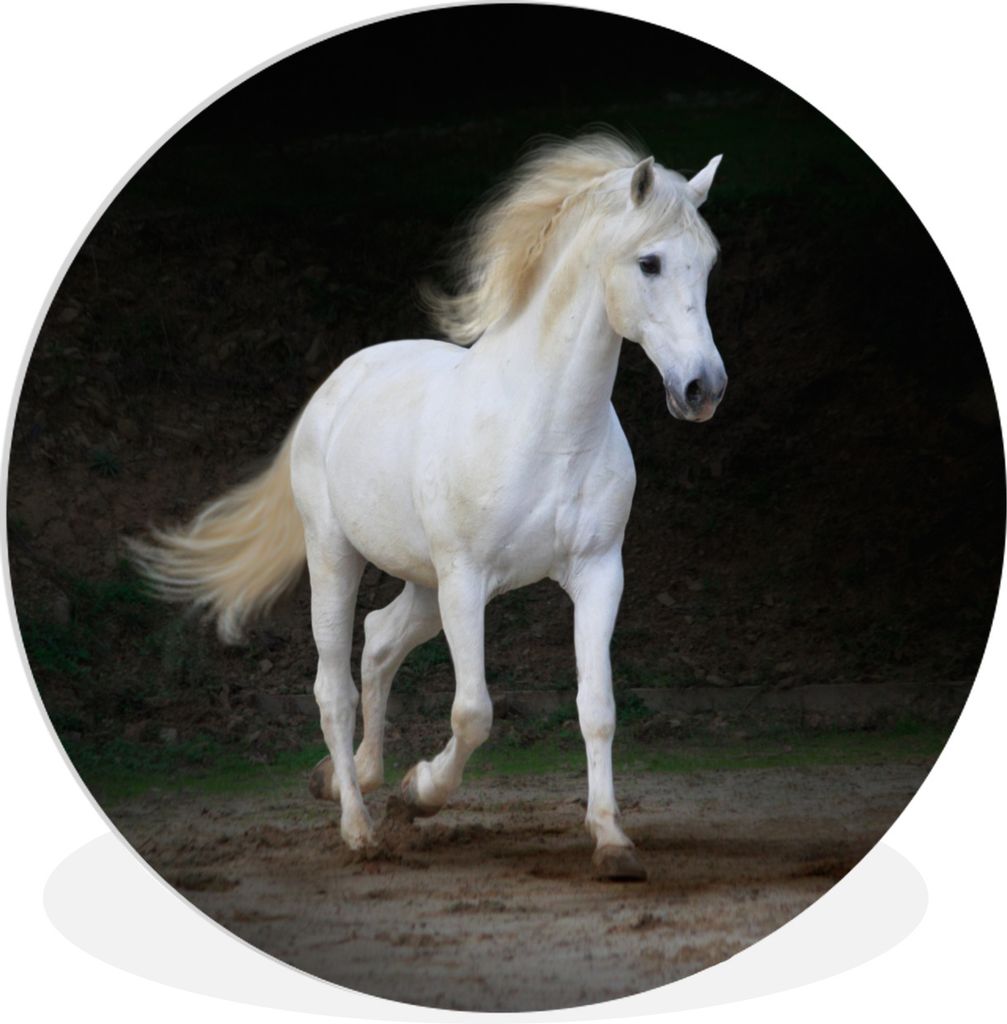 MuchoWow Rundes Wandbild - Runde Bilder Pferde - Sand - Dunkel Ø 60 cm Kreis Wanddekoration Kunststoff - Wandkreis - Wandschmuck - Wand Kreis - ...