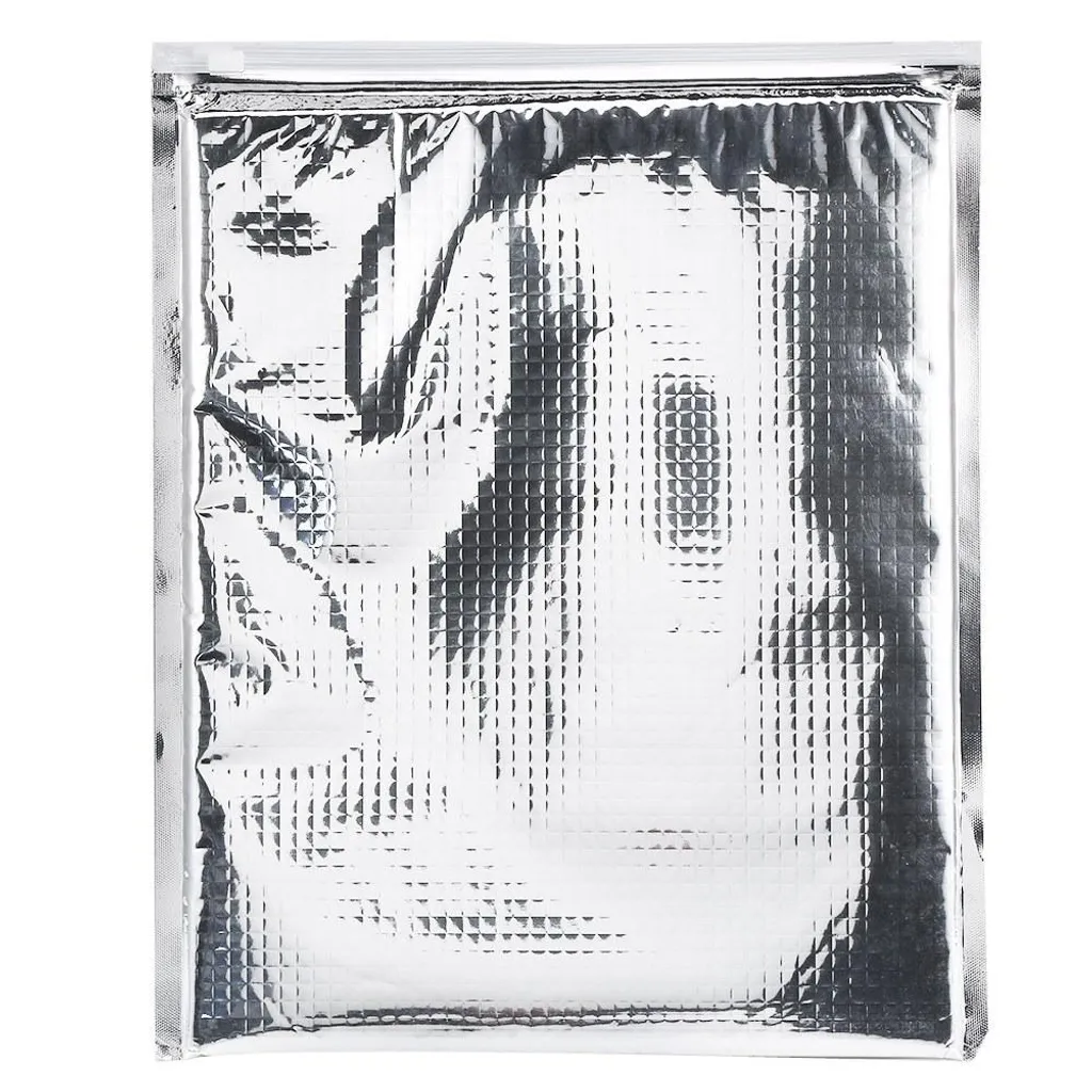 Lot de 5 sacs de conservation isothermes alu argent 30x35 cm