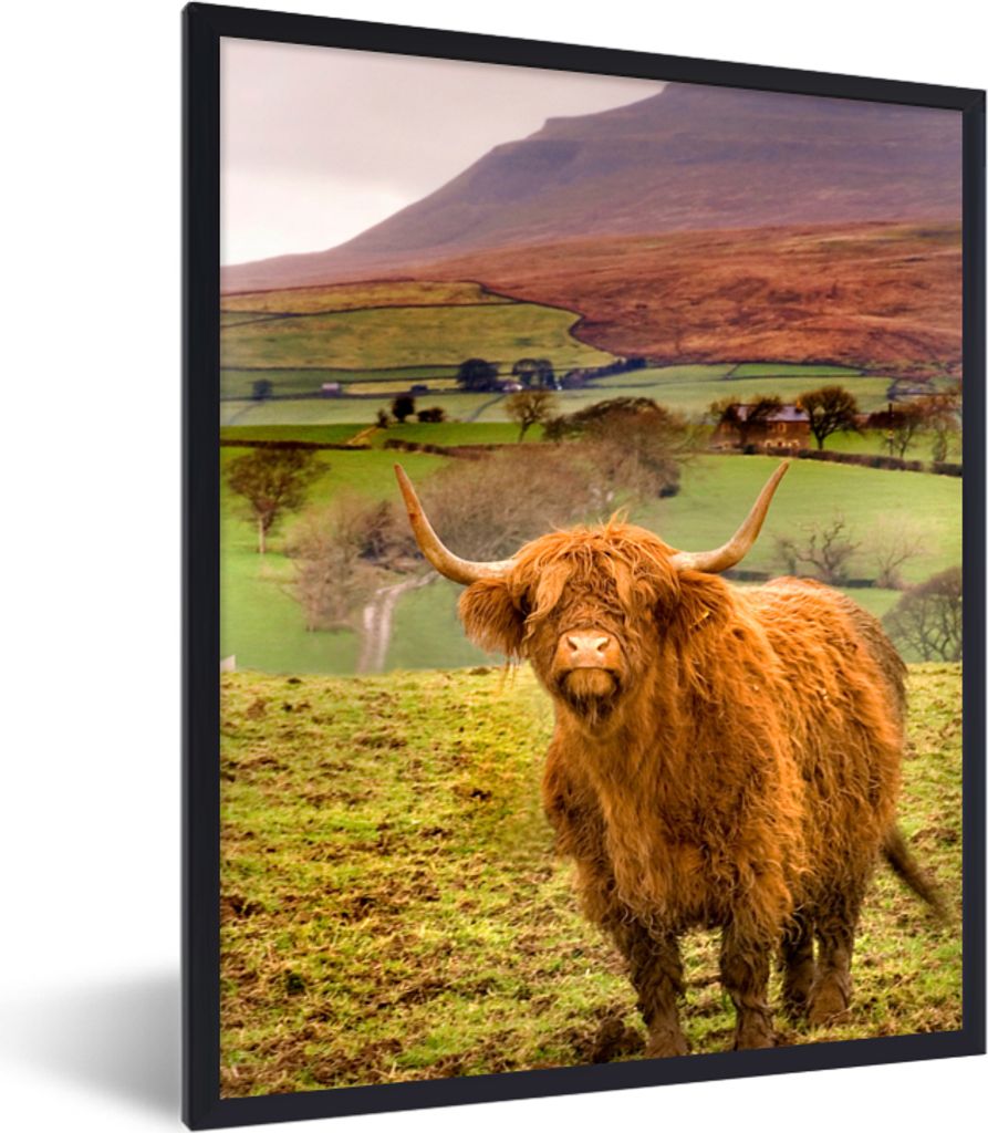 MuchoWow Gerahmtes Poster Schottischer Highlander - Berg - Herbst 60x80 cm - Poster mit Schwarzem Bilderrahmen Wandposter Rahmen Foto Bilder - Pr...