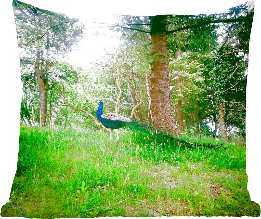 MuchoWow Zierkissen Sofakissen Wohnzimmer Dekokissen 40x40 cm Pfau - Gras - Wald - Foto Kissen - Schlafzimmer Dekoration