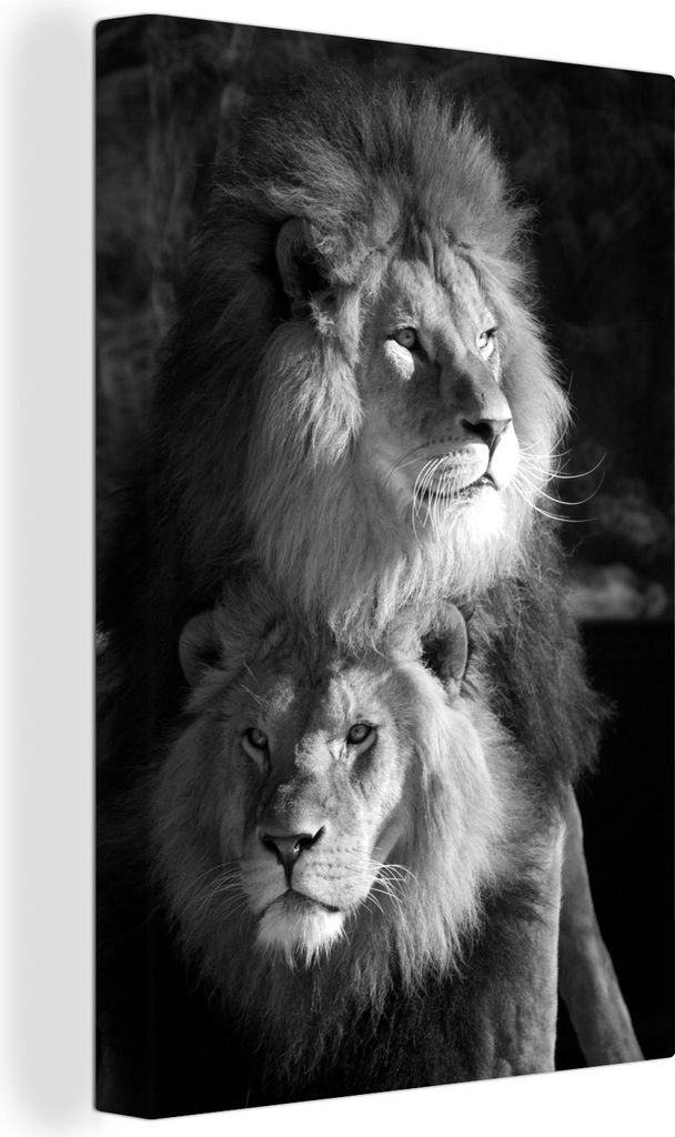 OneMillionCanvasses - Leinwandbilder - 90x140 cm, Zwei Löwen - schwarz und weiß, Wandbilder Kunstdruck Wanddekoration - Wandschmucke - Schlafzi...