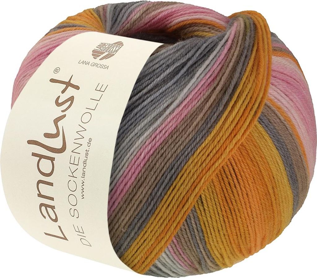 Lana Grossa Landlust DIE SOCKENWOLLE 100 g 4-fach Produktbild 