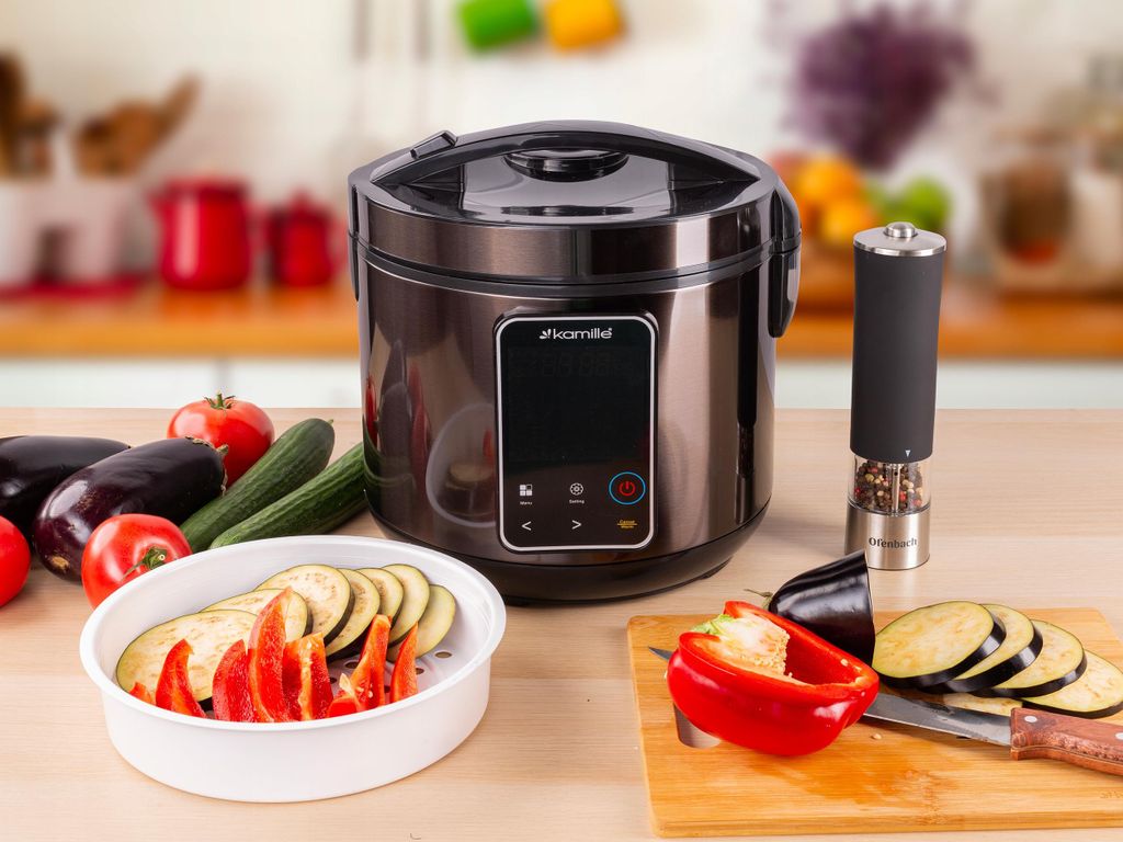 MULTICOOKER ELEKTRISCHER Topf SCHNELLKOCHTOPF Dampfgarer 24 Programme KAMILLE