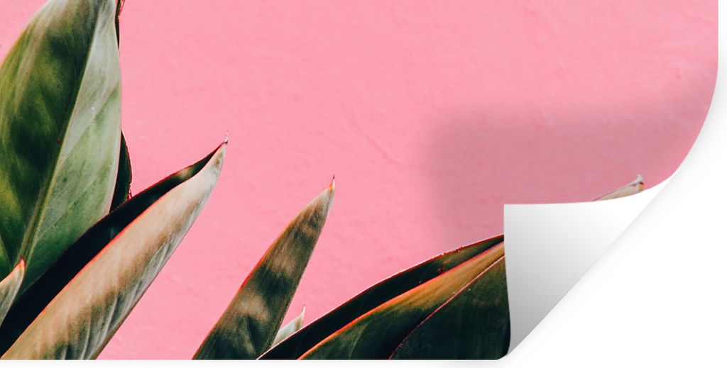 MuchoWow Wandtattoo Wandsticker Wandaufkleber Pflanzen - Frauenzunge - Rosa - Tropisch 40x20 cm Selbstklebend und Repositionierbar - Aufkleber