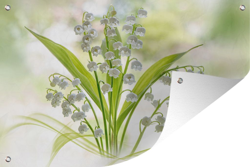 MuchoWow 90x60 cm Outdoor-Poster Gartendeko Sichtschutz Garten Poster für den Garten Eine kreative Komposition der Lilie von Dalen