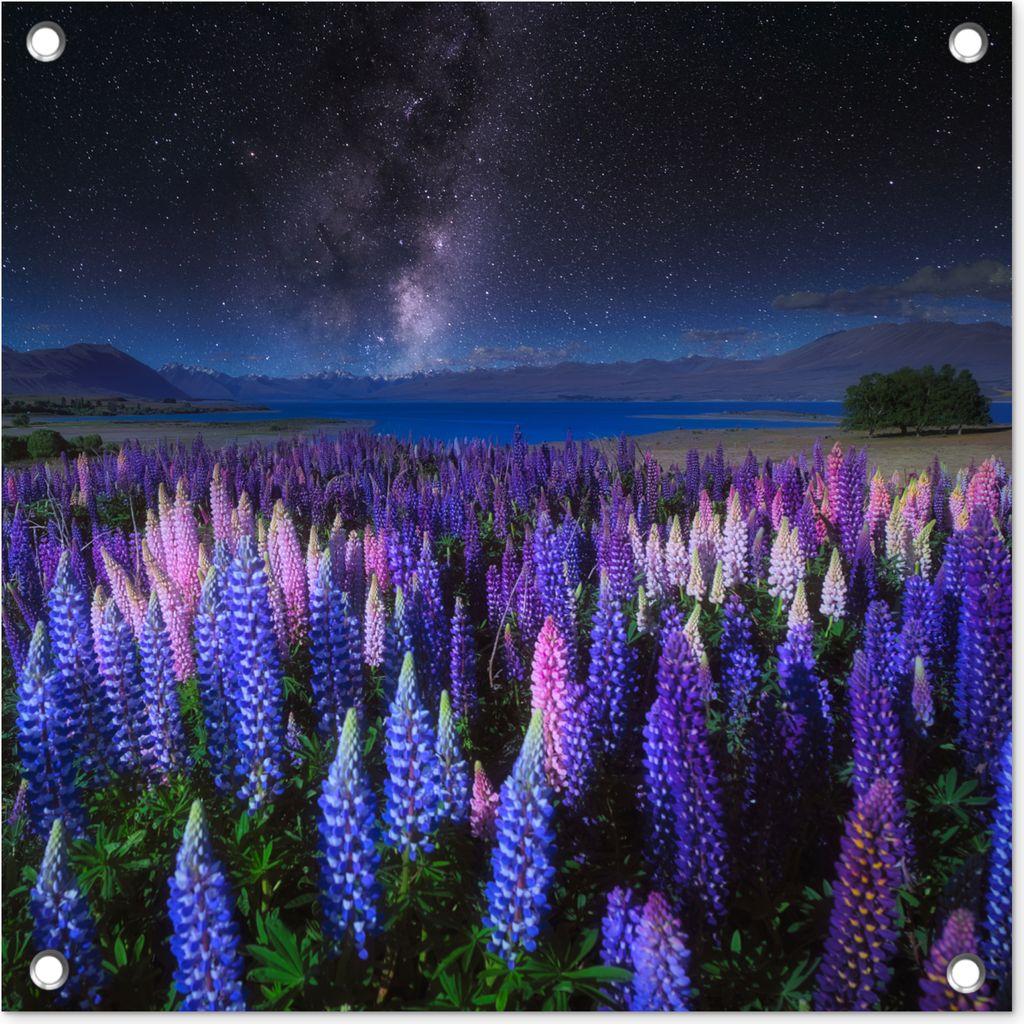 MuchoWow 50x50 cm Outdoor-Poster Gartendeko Sichtschutz Garten Poster für den Garten Blumen - Nacht - Lupine - Sternenhimmel - Lila - Natur