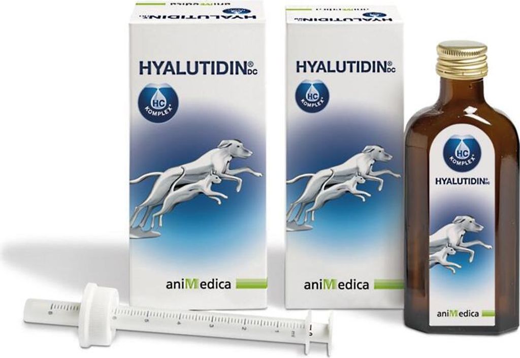 Livisto Hyalutidin DC 2x125 ml | Beweglichkeit bei Hunden & Produktbild 