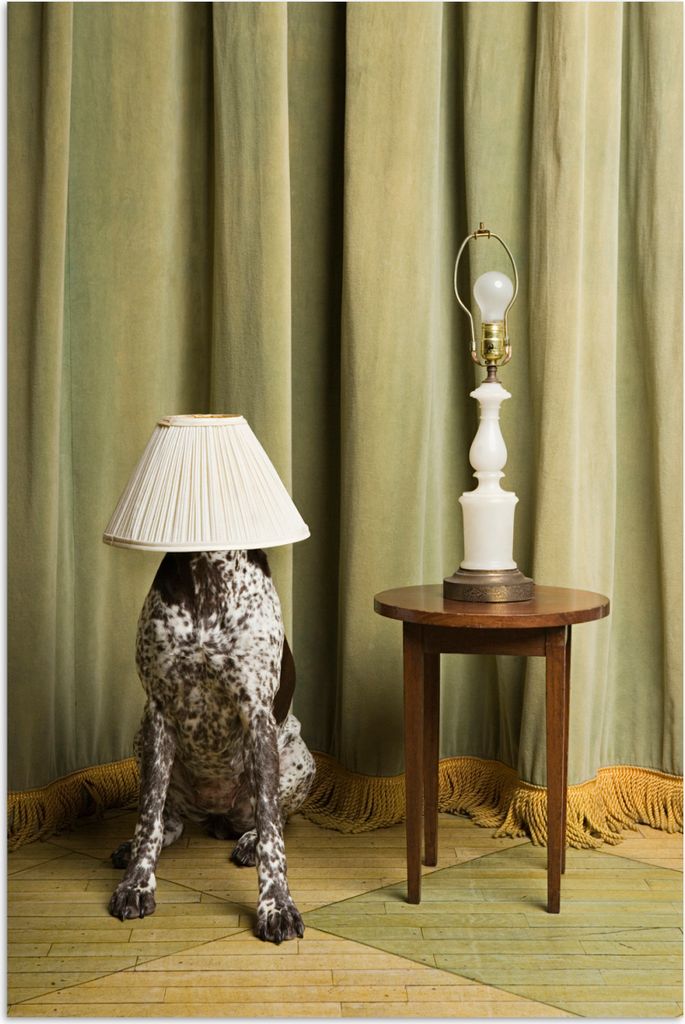 MuchoWow Poster Hund mit einem Lampenschirm auf dem Kopf 60x90 cm - Wanddekoration