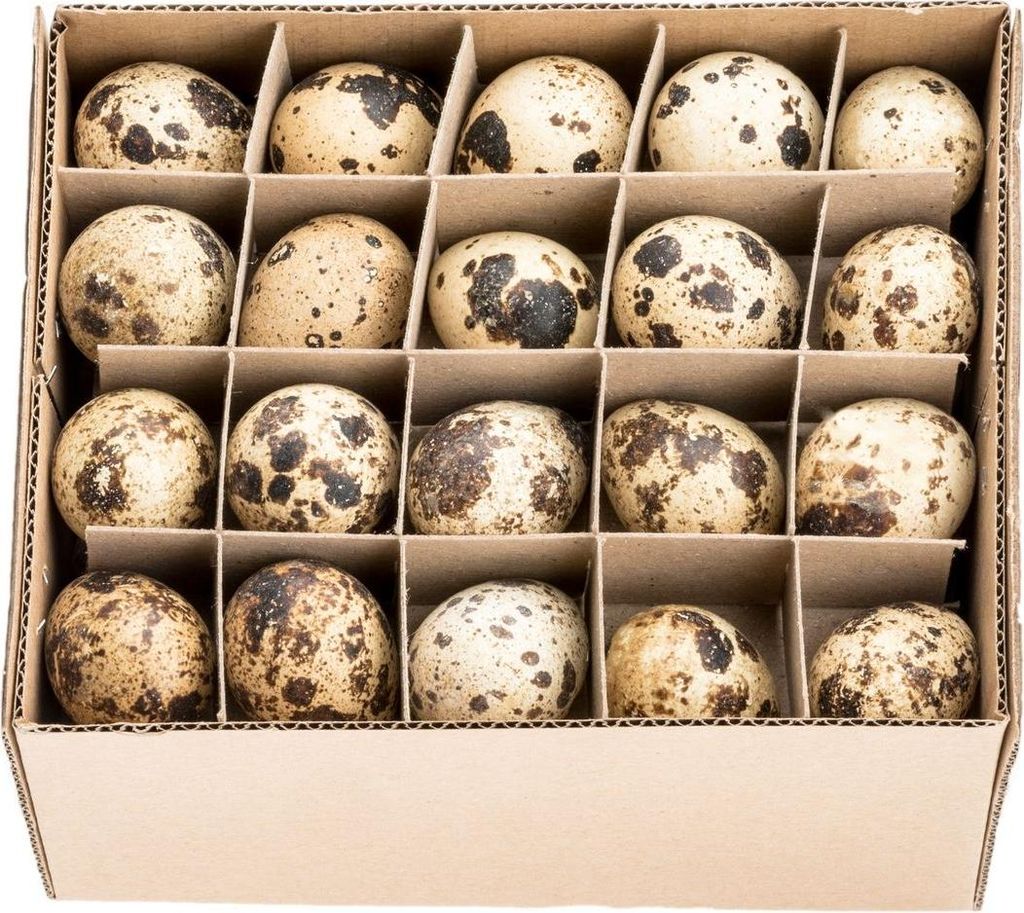 60x Wachteleier Natur ausgeblasen gereinigt Deko Ostern Produktbild 