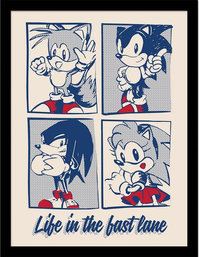 Sonic The Hedgehog - Gerahmtes Poster "Life In The Best Lane" PM8666 (40 cm x 30 cm) (Weiß/Blau/Rot)