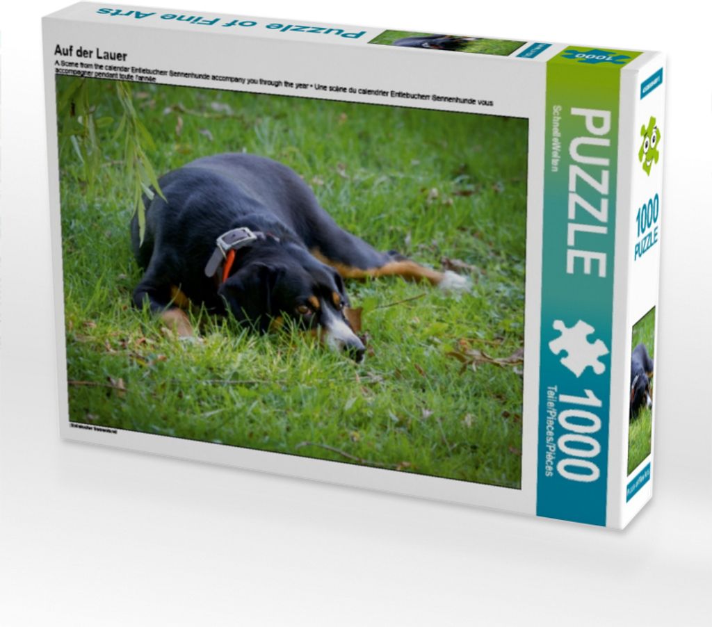 Calvendo Ein Motiv aus dem Kalender Entlebucherr Sennenhunde begleiten Sie durch das Jahr 1000 Teile Puzzle quer 640x480mm, CALVENDO; 7272180