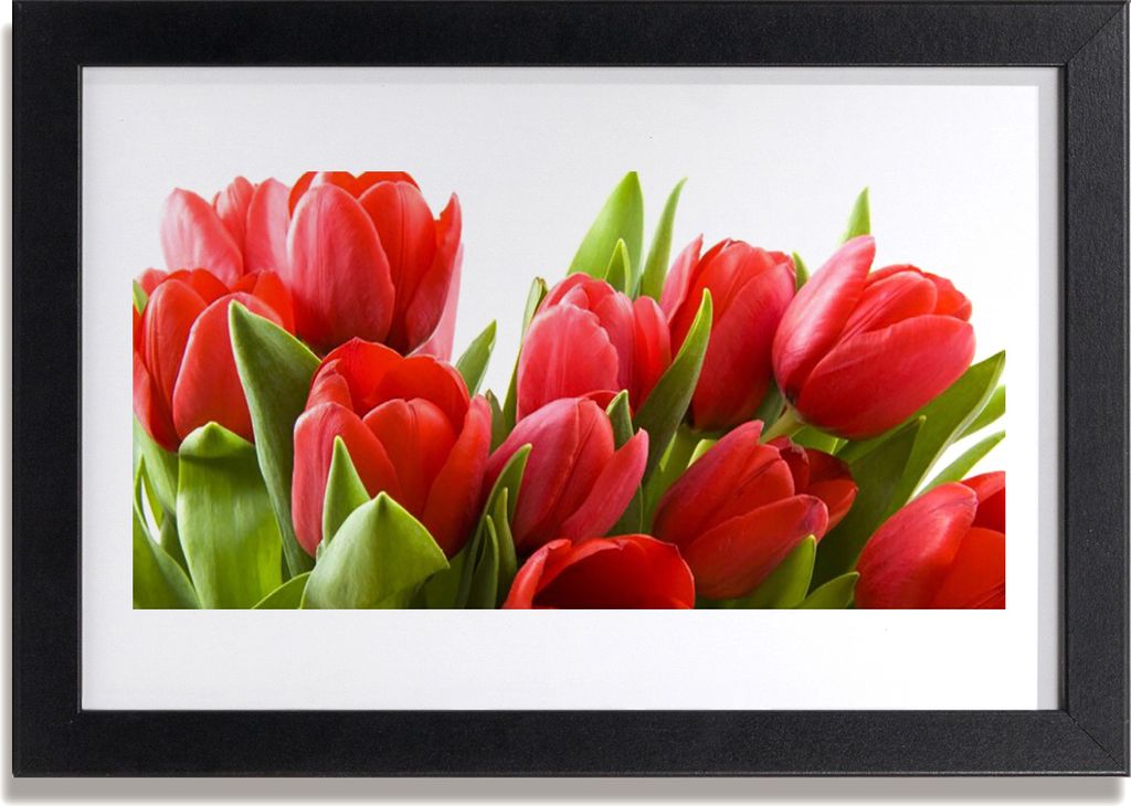 Bild 30x20 MDF-Rahmen Wandkunst Tulpen Blumen Pflanze