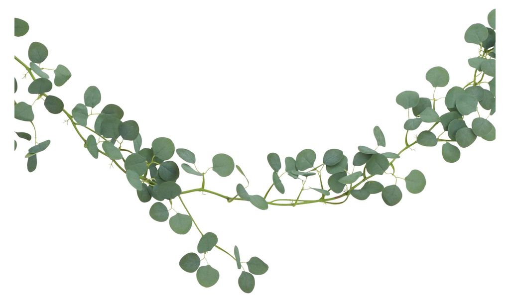 Chaks Eukalyptus - Girlande - grun - 173 cm - Hochzeit Produktbild 