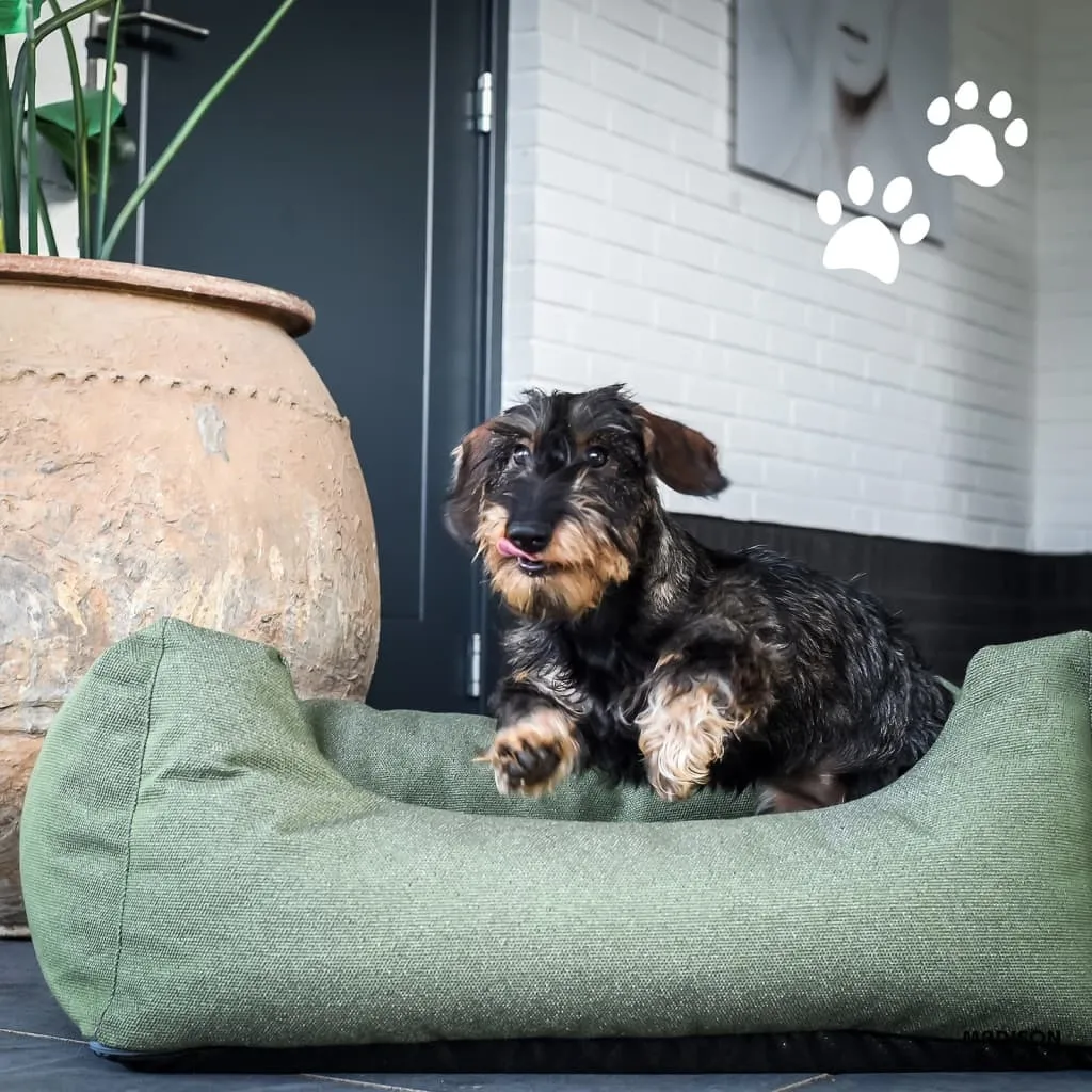 Lit chien extérieur Madison Manchester 100x80 Taupe : fini le panier humide