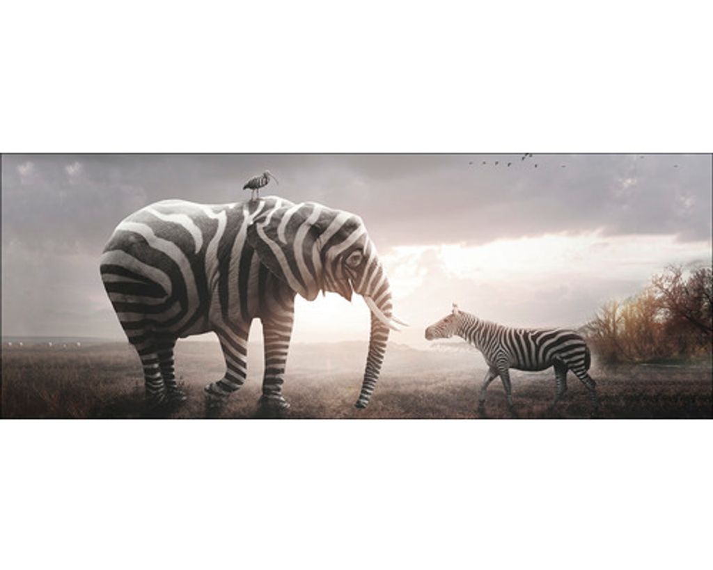Glasbild Striped Animal Meeting 80x30 cm