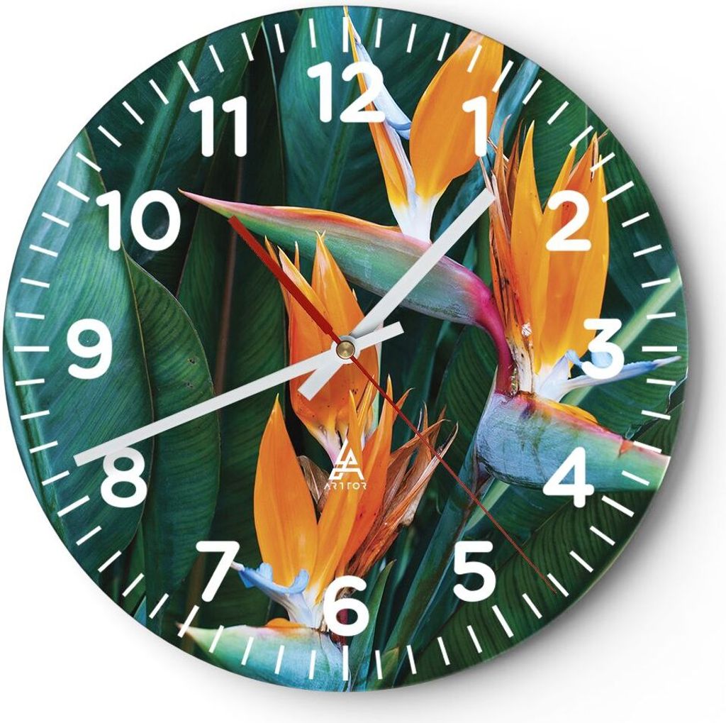 Wanduhr - Rund - Glasuhr - Himmlisch Vogel Blume - 30x30cm - Schleichendes Uhrwerk - Lautlos - zum Aufhängen bereit - Dekoration Modern - Wanddeko...