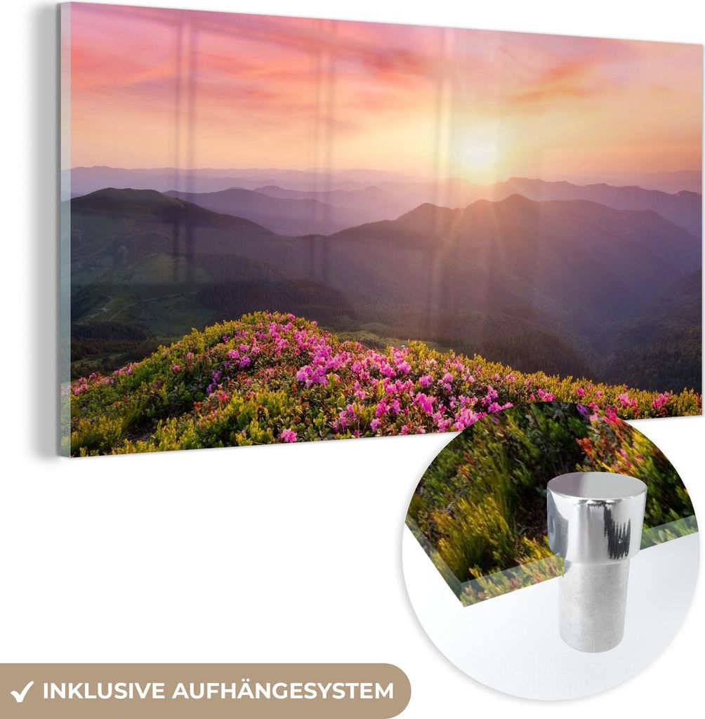 MuchoWow Glasbilder - Bilder auf Wandbild - Foto auf Glas Blumen - Berg - Sonnenuntergang - Landschaft 120x60 cm Wanddekoration aus Glas - Acrylgla...