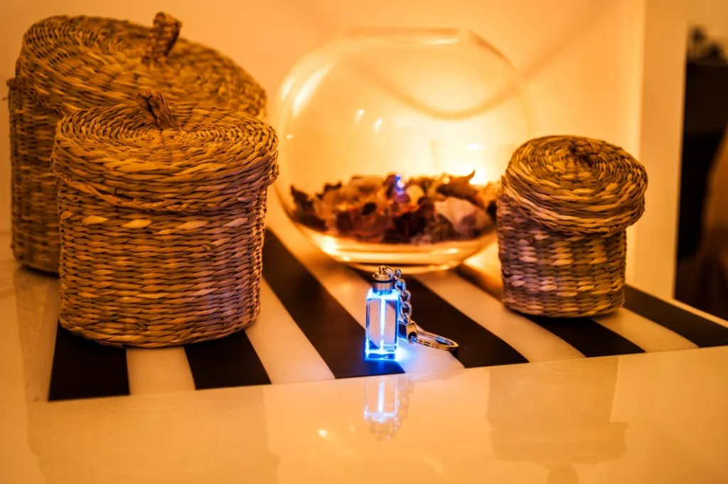 Regalo Unico Cane da Acqua Spagnolo Portachiavi Cristallo LED Art-Dog - 9