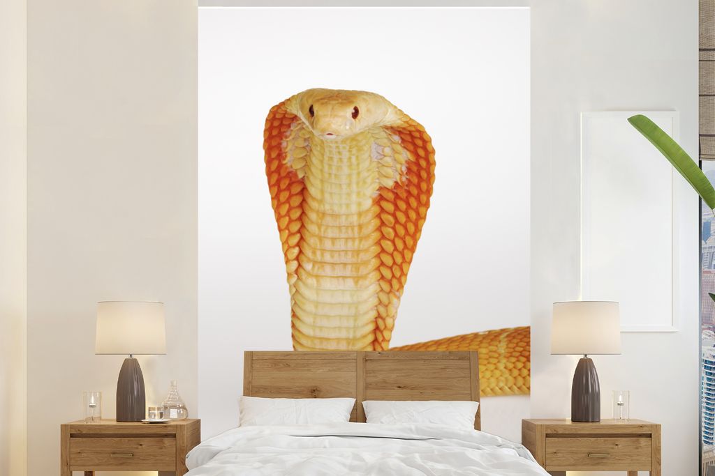 MuchoWow Fototapete für Wohnzimmer oder Schlafzimmer Wandtapete Vinyl Motivtapete Einzigartige Albino-Kobra auf weißem Hintergrund - 155x240 cm...