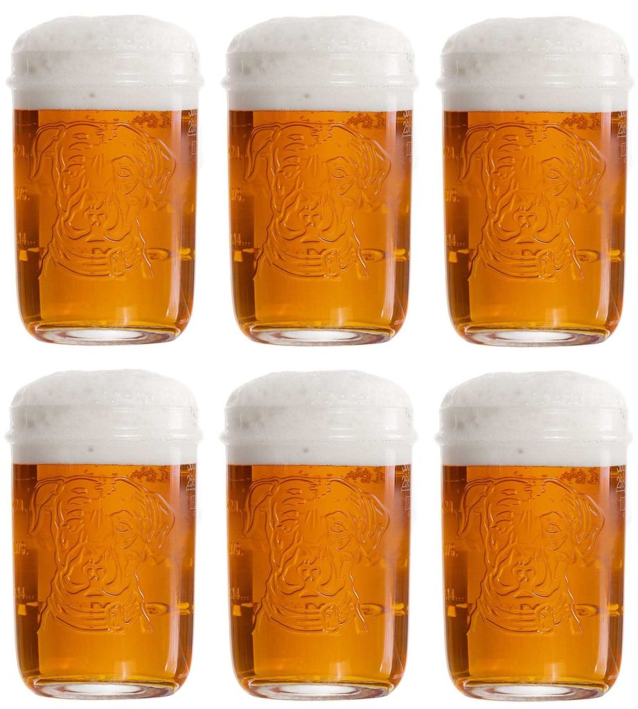 Lagunitas Biergläser 300 ml - 6 Stück