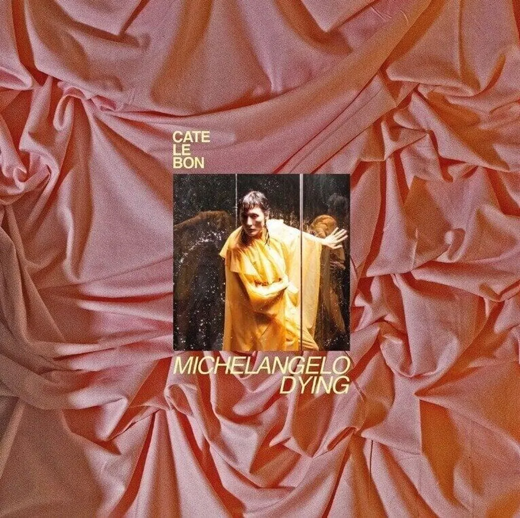 Disque Vinyle LP Cate Le Bon Michelangelo Dying Album Neuf 33T