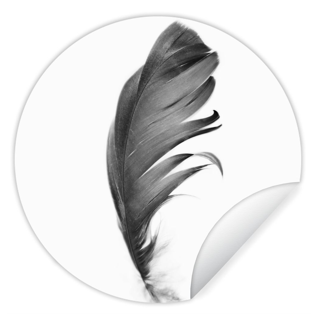 MuchoWow Runde Wandtattoo - Wandsticker Tapete Aufkleber Feder - Schwarz - Weiß - Natur Ø 100 cm Selbstklebend und Repositionierbar - Wandaufkl...