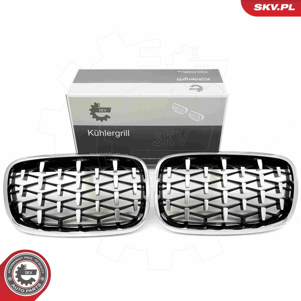 ESEN SKV 66SKV293 Kühlergrill Frontgrill für BMW X5 (E70) Silber
