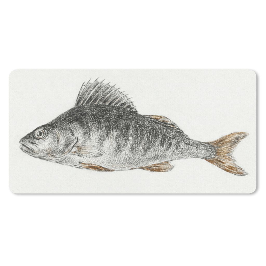 MuchoWow Mauspad Mousepad Hecht, mit zwei Kerben auf dem Rücken - Gemälde von Jean Bernard 60x30 cm - Mousepads - Maus Mat - Pad - Mausunterlag...