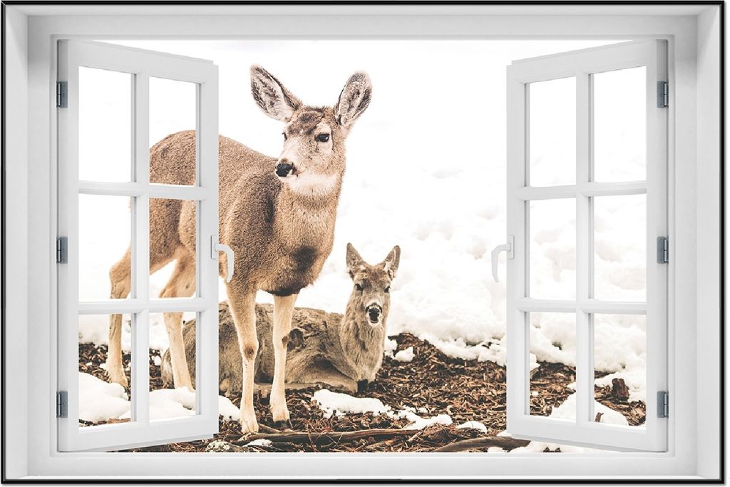 Wallario Wandbild mit Fenster-Illusion: Junge Elche im Schnee in Arizona - Amerika, Größe: 61 x 91,5 cm, Poster mit schwarzem Aluminiumrahmen
