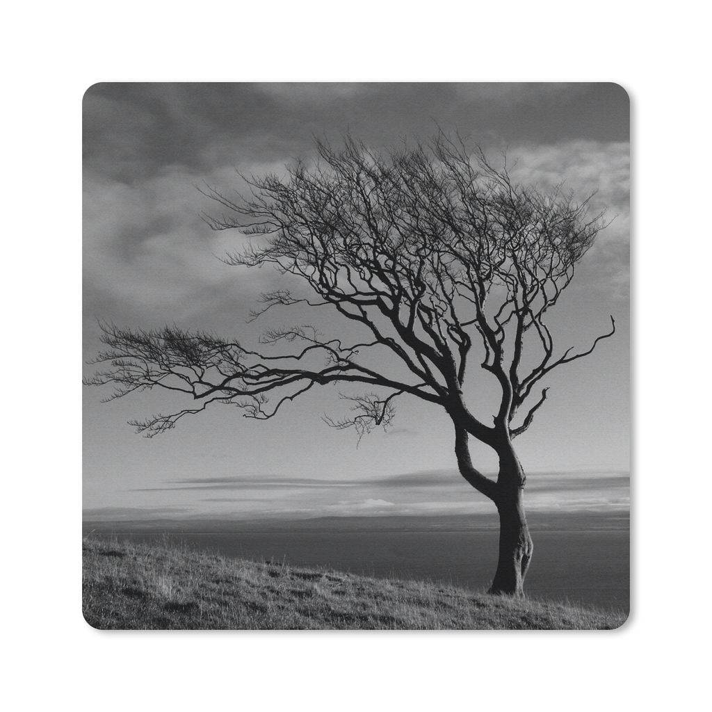 MuchoWow Mauspad Mousepad Winterfoto Buche schwarz und weiß 20x20 cm - Mousepads - Maus Mat - Pad - Mausunterlage - Desk Mat - Bureauartikeln
