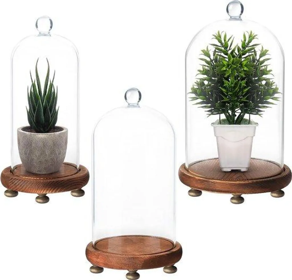Lot de plateaux de service transparents pour salon et décoration