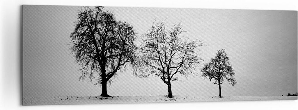 Bild auf Leinwand - Leinwandbild - Einteilig - Winter Bäume Schnee - 160x50cm - Wand Bild - Wanddeko - Wandbilder - Leinwanddruck - Bilder - Wandd...