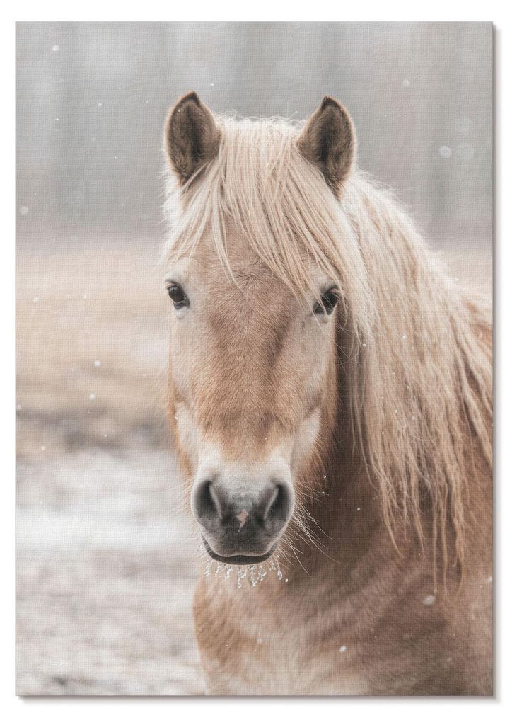POSTER - 29x42 cm (A3) - Nyra - Pferd Winter sanfte Farben Frieden Natur - Wandbild für Wohnzimmer Schlafzimmer & Flur, Modernes Poster Wanddeko, ...