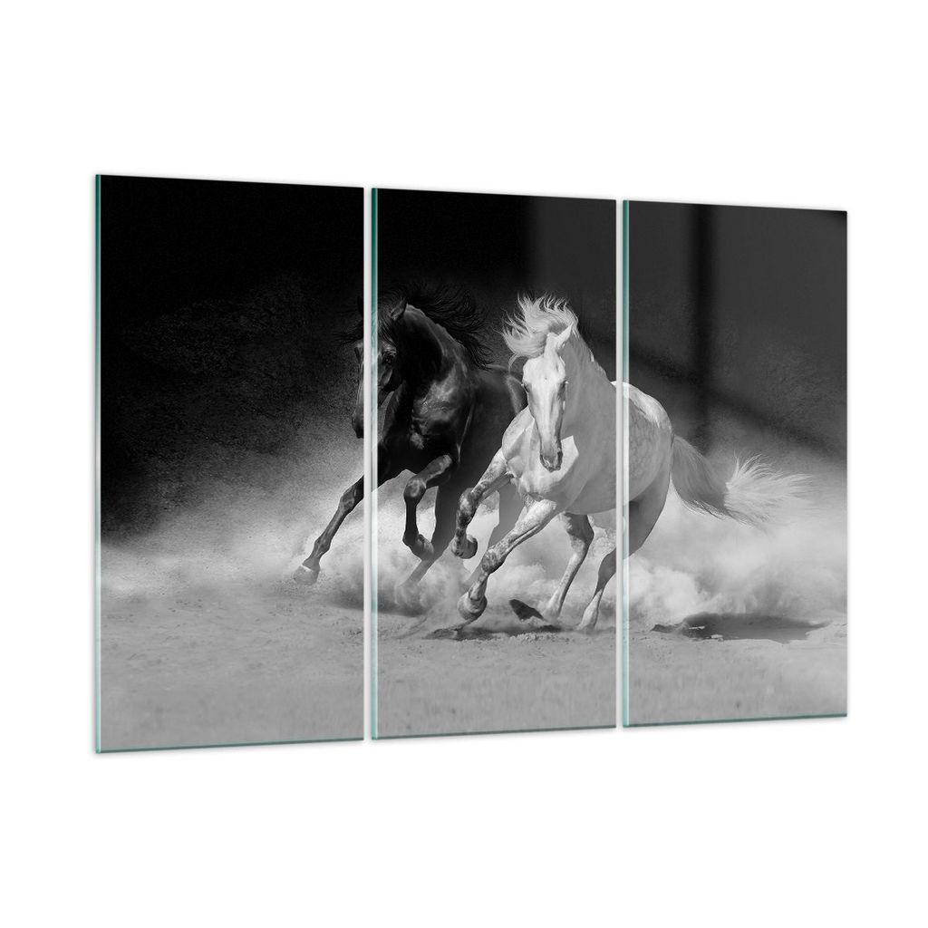 Bilder auf glas - 3 Teile - Andalusier Pferde Galopp - 165x110cm - Glasbilder - Wandbilder - Bilder - zum Aufhängen bereit - Wanddekoration aus Gl...