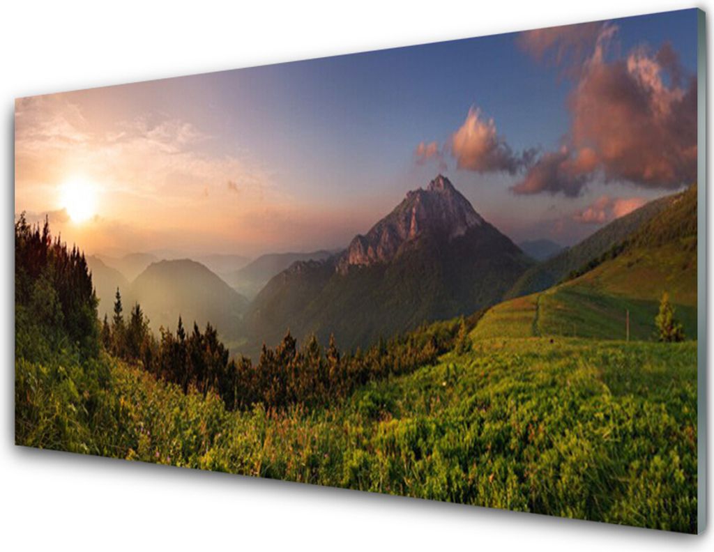 Acrylglasbilder 100x50 Wandbild Druck Gebirge Wald Natur