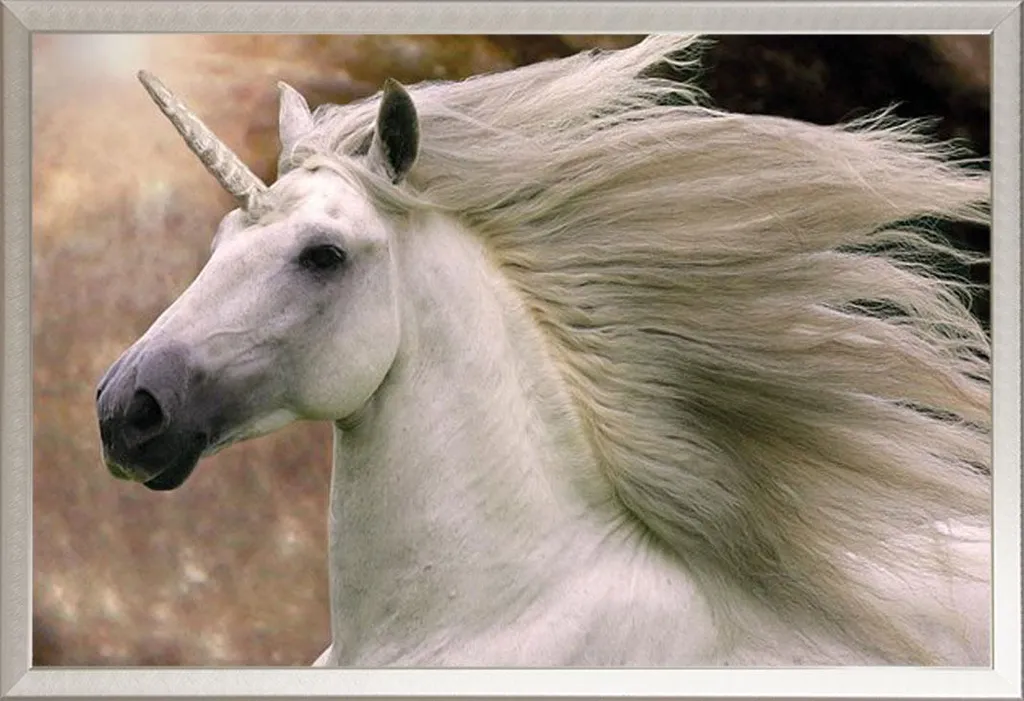 Poster Licorne avec Cadre Interchangeable Shinsuke en Aluminium et Vitre