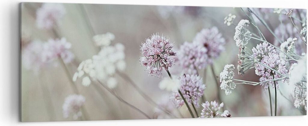 Bild auf Leinwand - Leinwandbild - Einteilig - Wiese Knoblauch Blume - 140x50cm - Wand Bild - Wanddeko - Wandbilder - Leinwanddruck - Bilder - Wand...
