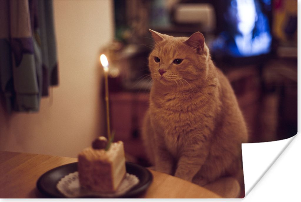 MuchoWow Poster Katze - Geburtstag - Kerze 120x80 cm - Bilder