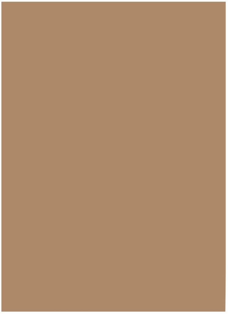 folia Tonpapier DIN A3 130 g/qm rehbraun 50 Blatt