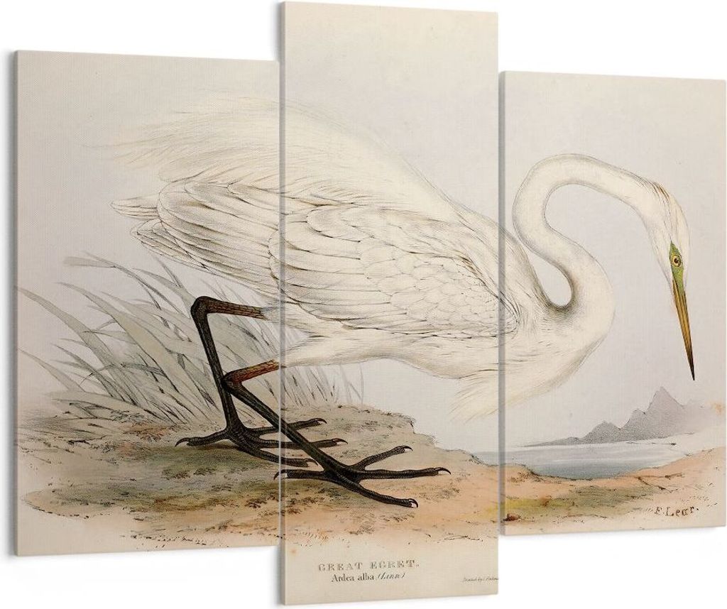 Bild auf Leinwand - Leinwandbild - 3 Teile - Vogel Weiß Reiher - 130x100cm - Wand Bild - Wanddeko - Wandbilder - Leinwanddruck - Bilder - Wanddeko...