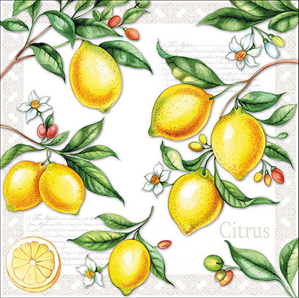 20 Servietten Citrus - Zitronenzweige 33x33cm Produktbild 