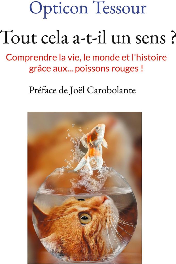 Tout cela a-t-il un sens ?