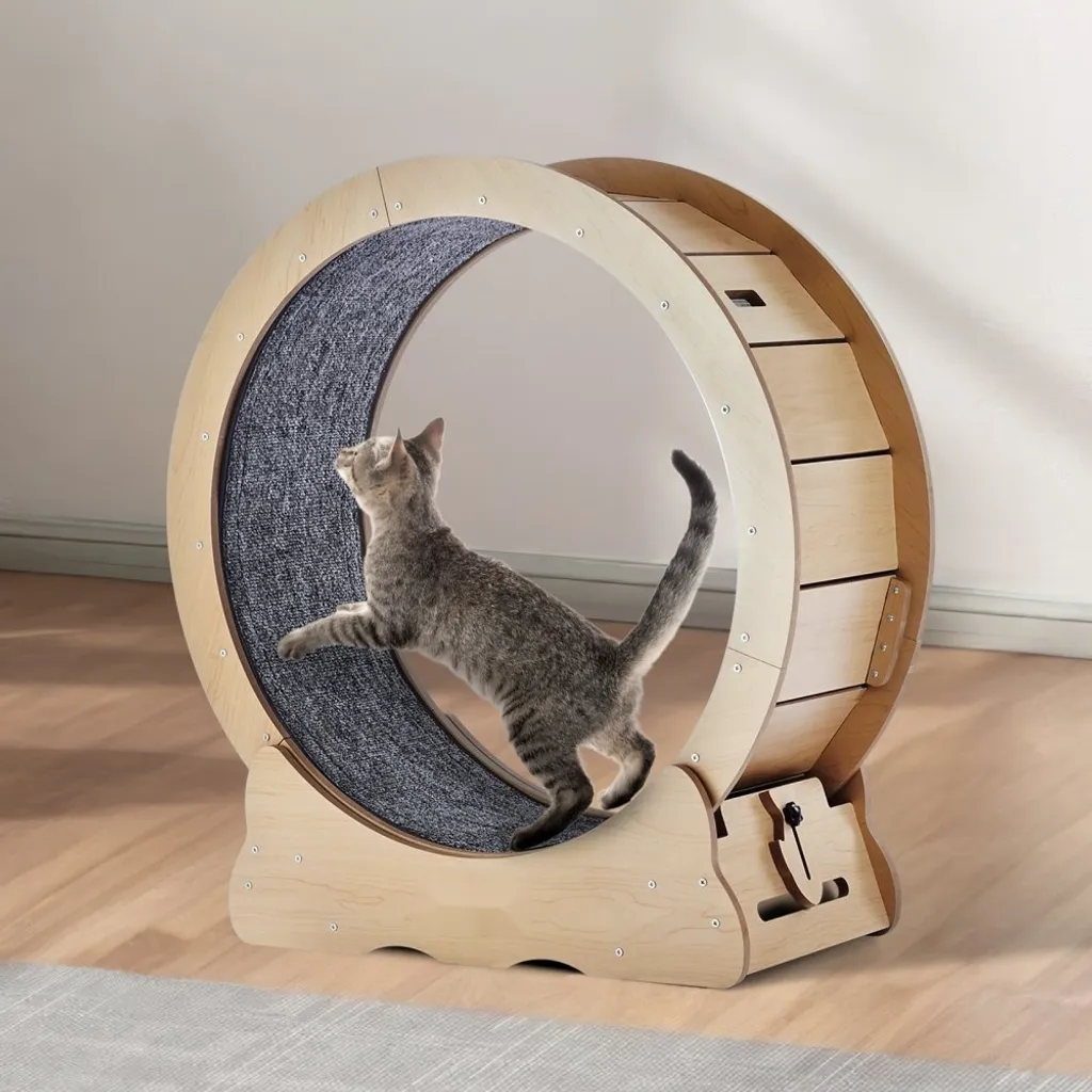 Roue d'exercice chat silencieuse 75cm avec griffoir en sisal durable - 8